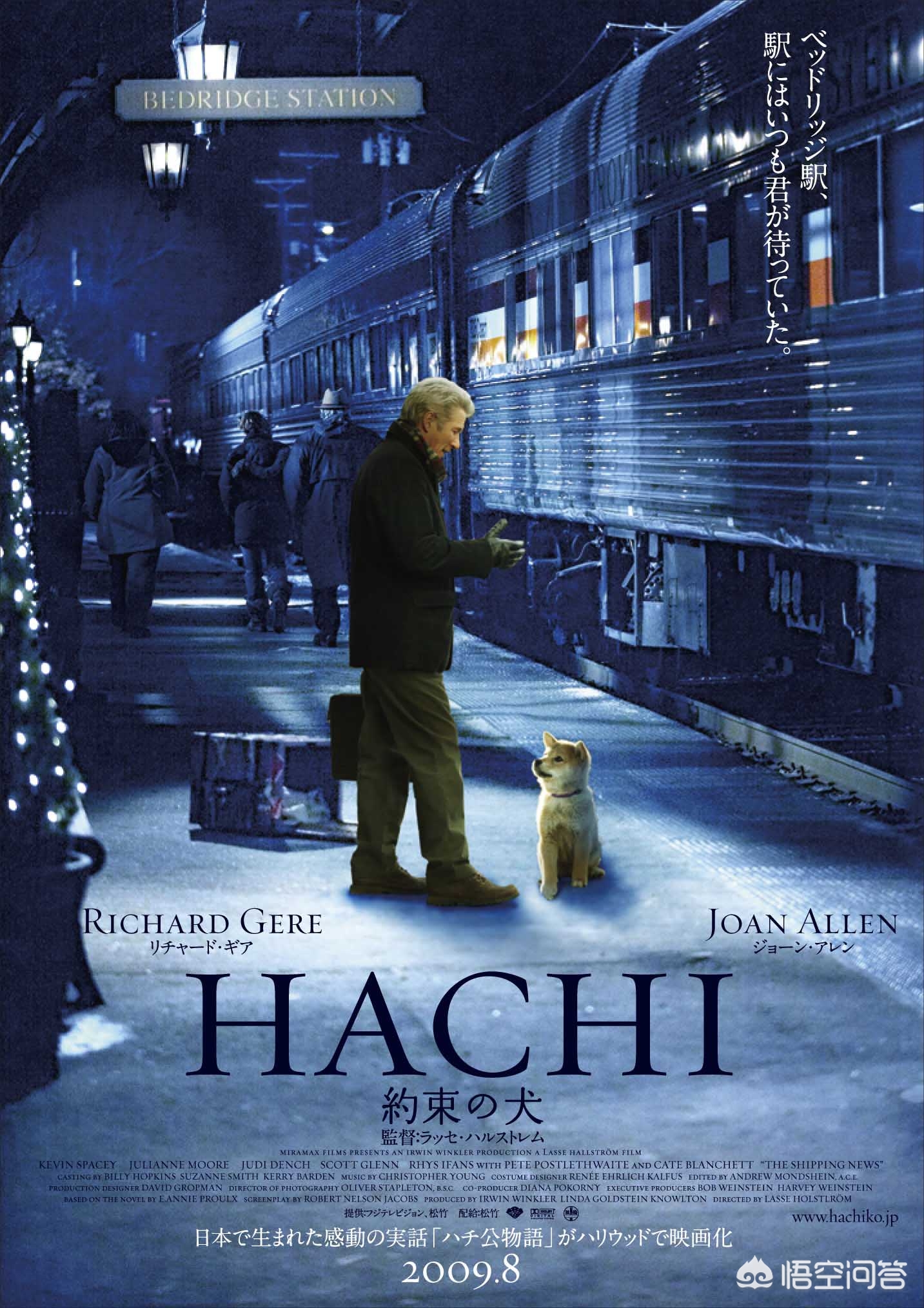 魔力百科金币速刷技巧 快速获取金币的有效方法