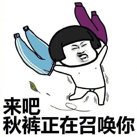 魔力宝贝私服宠物养成计划：打造最强伙伴